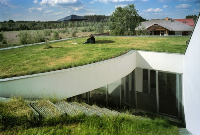 green roofed house